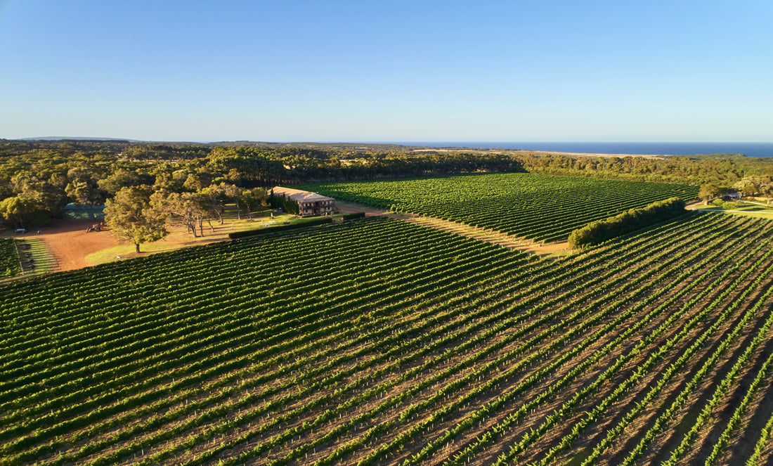 Margaret River’s Rise to Greatness, by Erin Larkin