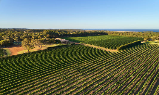 Margaret River’s Rise to Greatness, by Erin Larkin