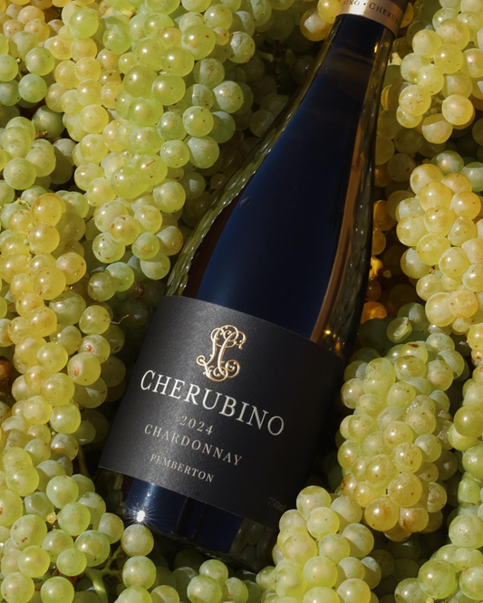 2024 Pemberton Chardonnay awarded 97 points by Erin Larkin