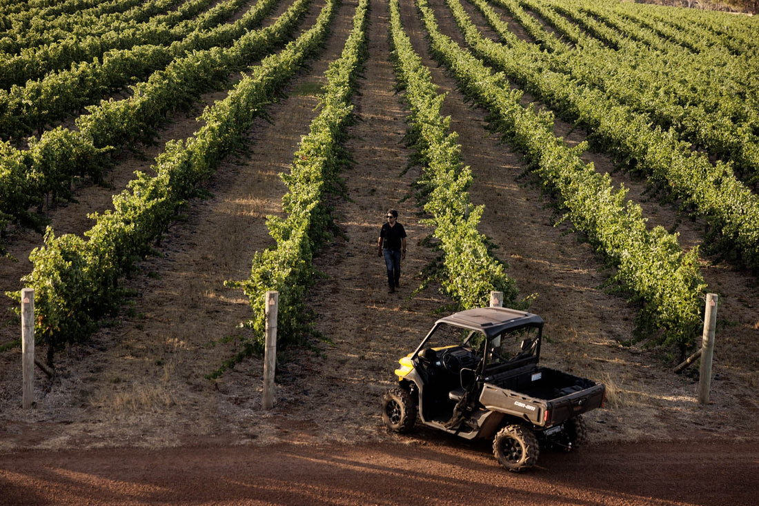 Margaret River’s Rise to Greatness, by Erin Larkin