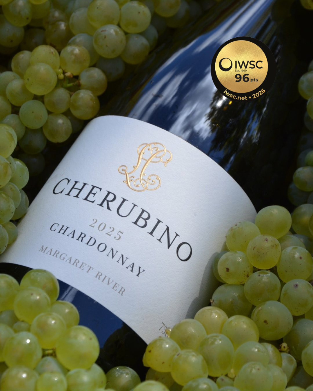Cherubino Margaret River Chardonnay awarded Gold at the IWSC