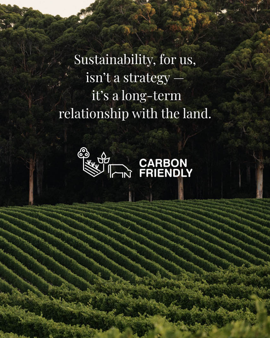 2025 Wine Industry Sustainability Report