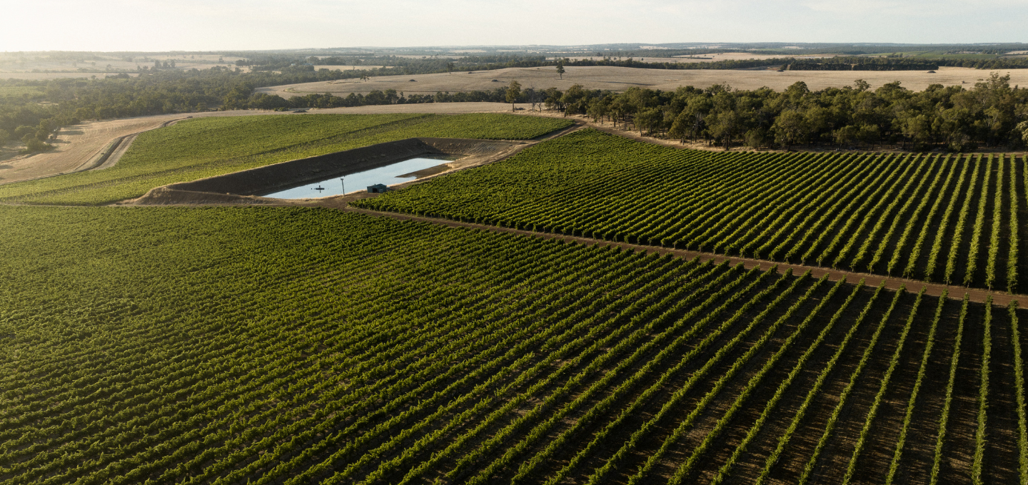 Aerial view Cherubino Frankland River vineyard. 