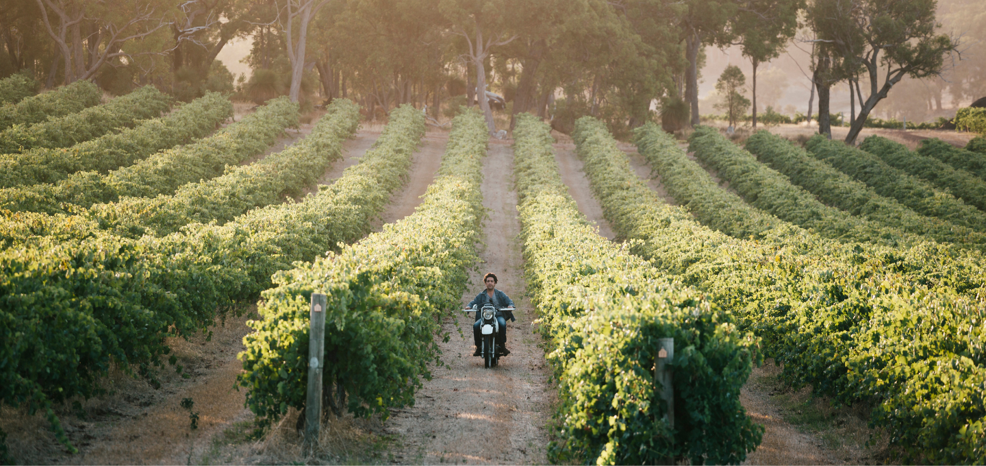 Larry Cherubino Frankland River Vineyard