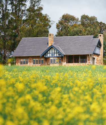 Riversdale Vineyard, Home of the Cherubino Family