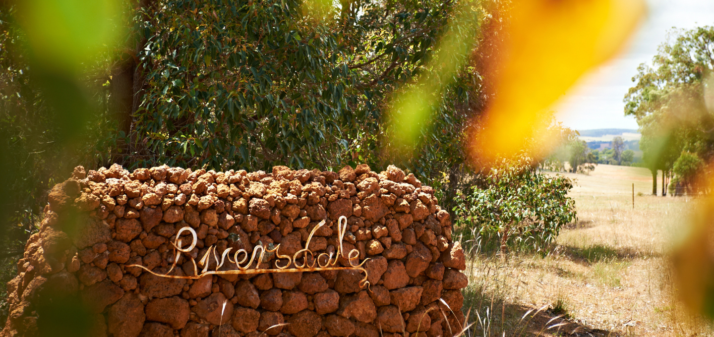 Riversdale Vineyard, Home of the Cherubino Family