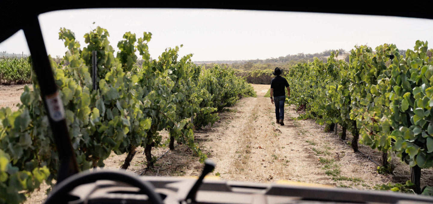 Larry Cherubino walking between rows of grapevines in a vineyard
