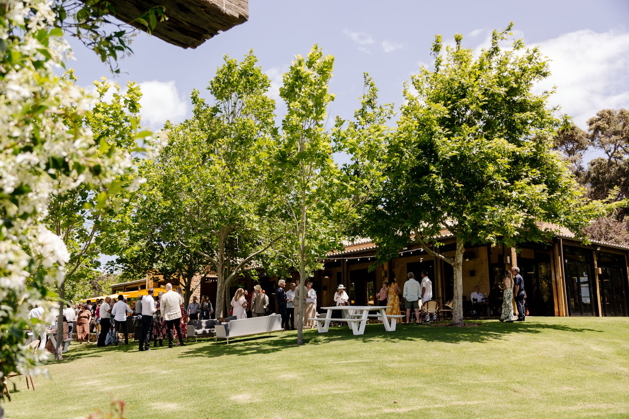 Masseria event with people gathered under trees on a sunny day