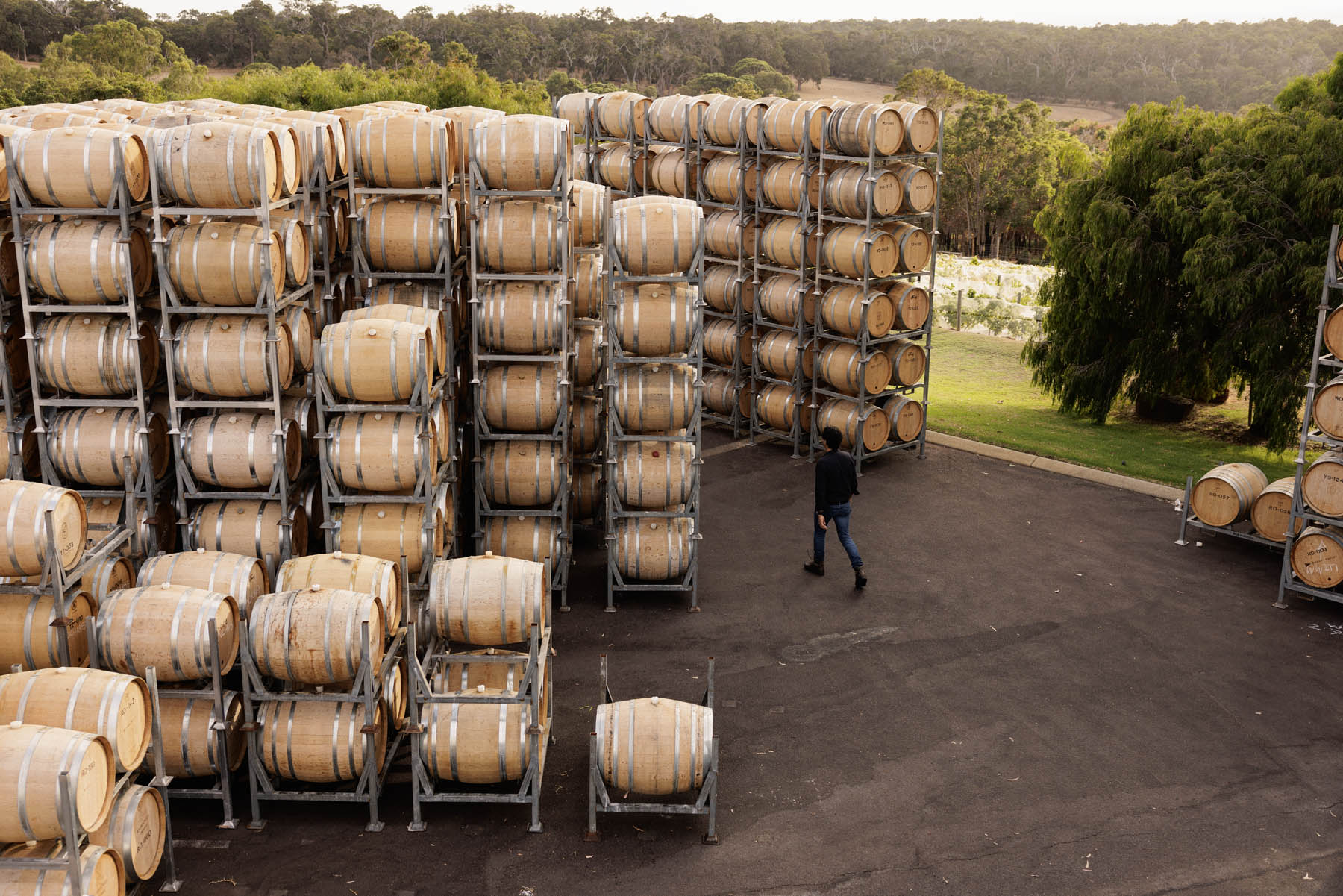 Stacks of Cherubino barrels on metal racks in an outdoor setting with greenery.