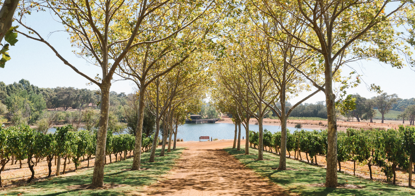 Cherubino Margaret River Cellar Door entrance
