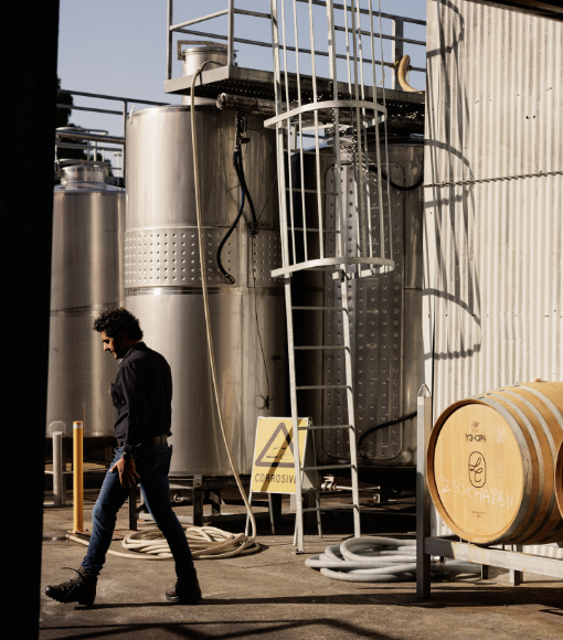 About Cherubino Wines