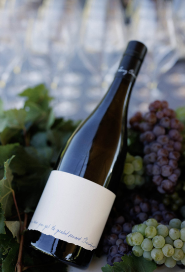 Cherubino On the Fringe collection