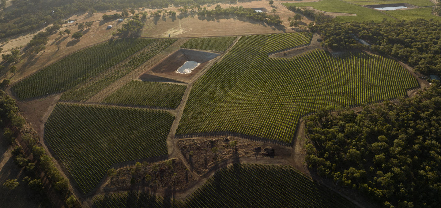 Aerial view of Frankland River vineyard 