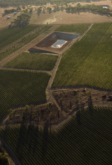 Aerial view of Frankland River Vineyard