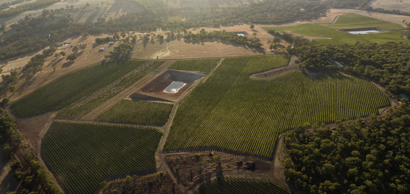 Aerial view of Frankland River Vineyard