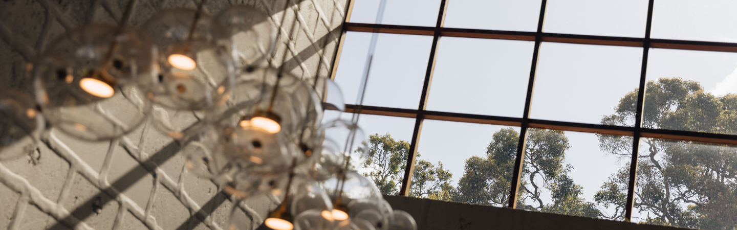 Chandelier with a window in the background showing trees