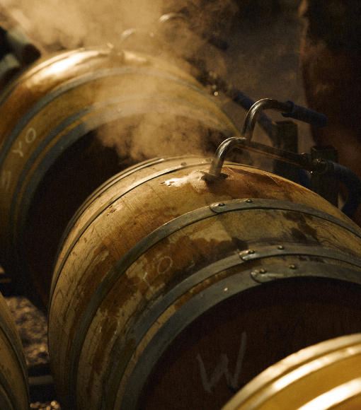 Cherubino Wines