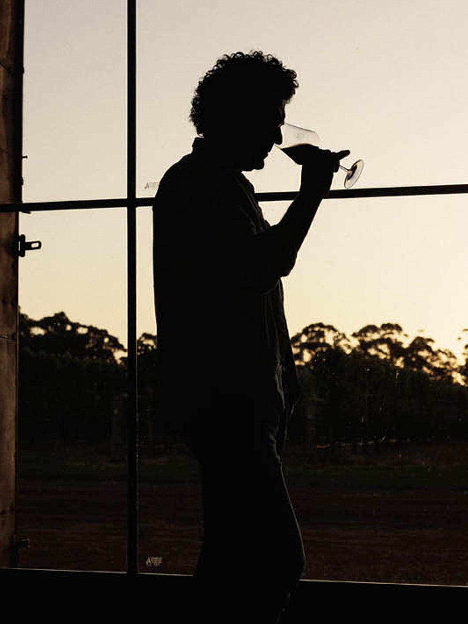 2022 Cherubino Ovale Petit Verdot | Frankland River – Cherubino Wines